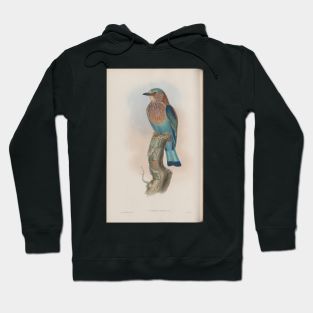 Perching Bird Hoodie